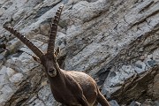 Mercoledì e Giovedì 23/24 agosto – Traversata Diavolino – Diavolo… in tenda - FOTOGALLERY